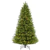 Puleo 6-1/2 Ft. Pre-Lit Green Mountain Fir Artificial Christmas Tree