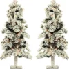 Set Of Snowy Alpine Trees With Clear Lights