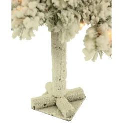 Set Of Snowy Alpine Trees With Clear Lights