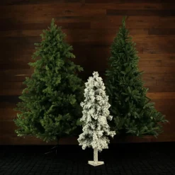 Set Of Snowy Alpine Trees With Clear Lights