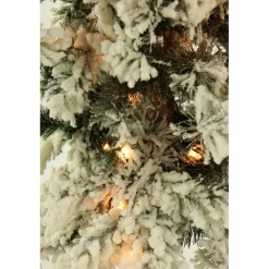 Set Of Snowy Alpine Trees With Clear Lights
